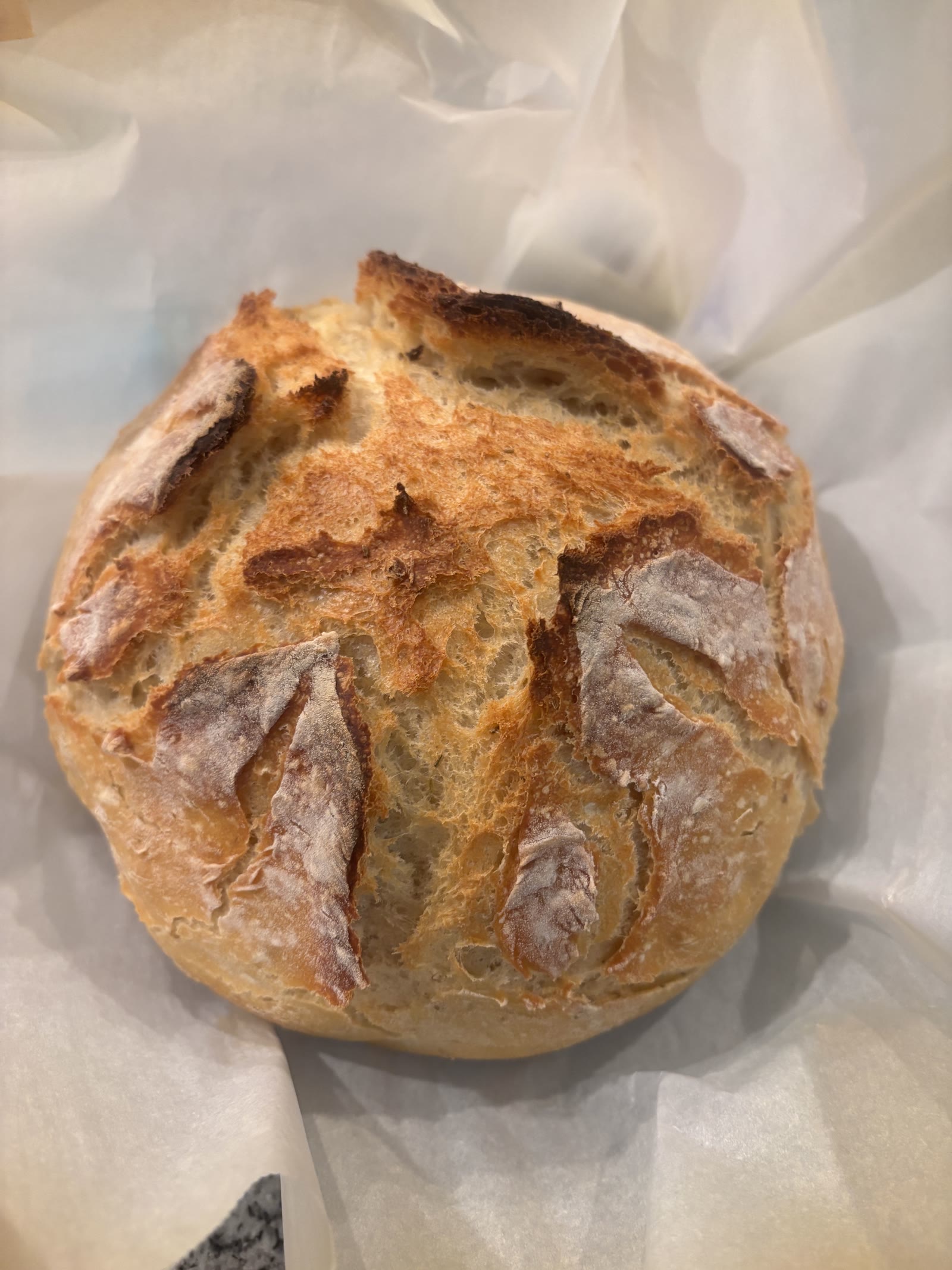Rosemary garlic sea salt bread