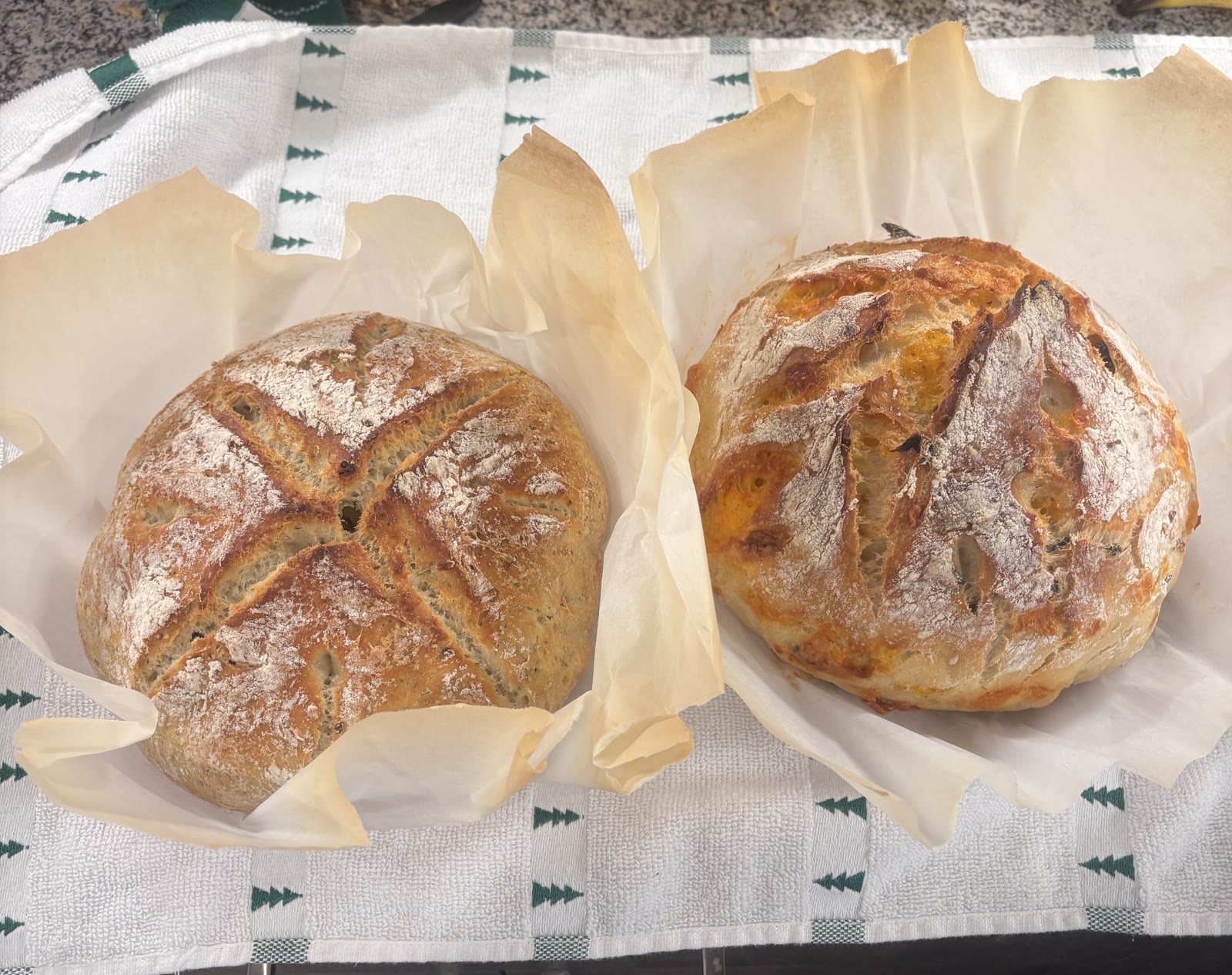 Crusty sourdough loaves
